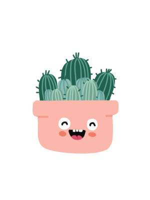 카드뒷면